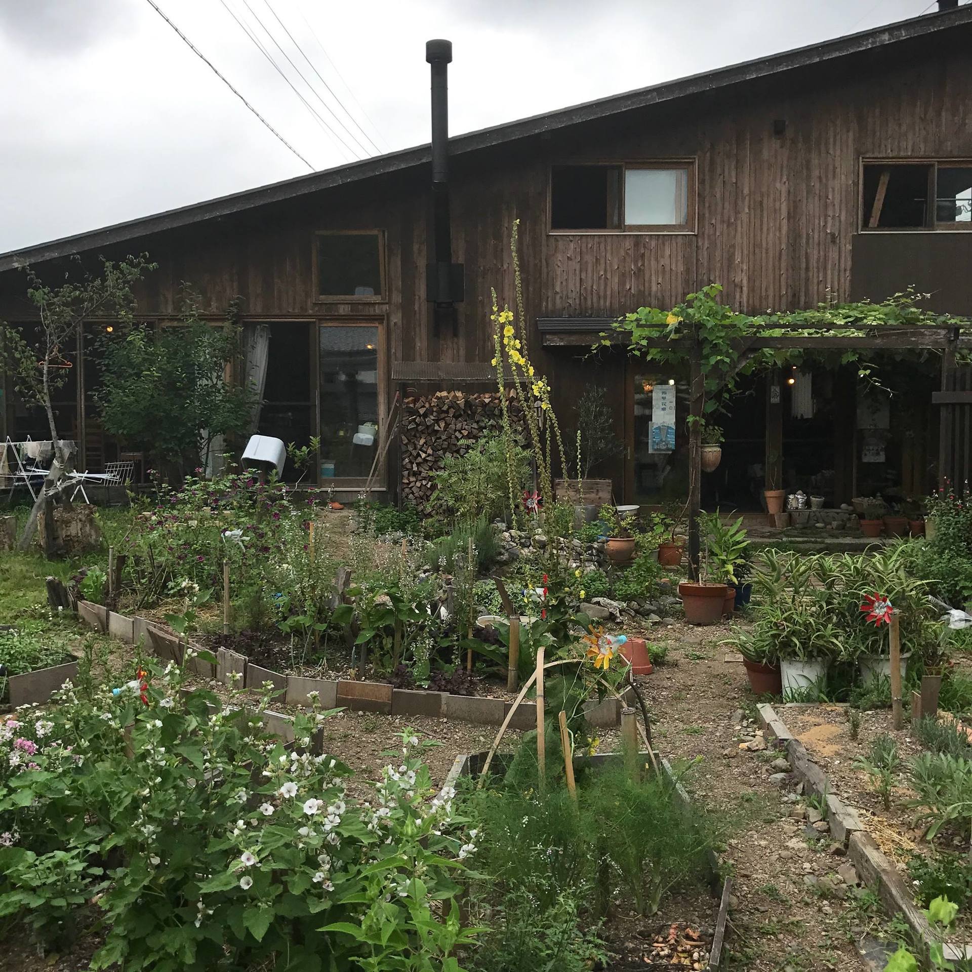 滋賀県 長浜の自然派美容室 Pocapoca ポカポカ ぬんのブログ 神戸でヨガ 瞑想